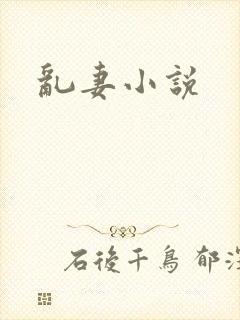 乱妻小说