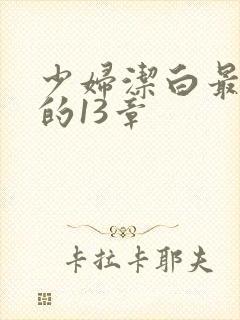 少妇洁白最刺激的13章