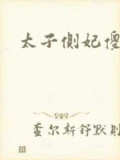 太子侧妃傻乎乎封面