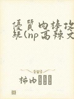 优质肉棒攻略系统(np高辣文)