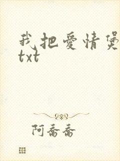 我把爱情煲成汤txt