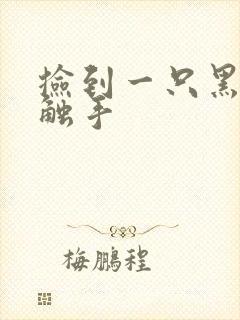 捡到一只黑心小触手