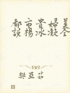 都市贵妇美腿小说杨冰凝全文阅读