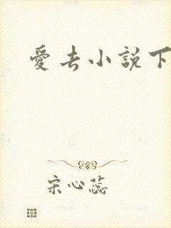 爱去小说下载网