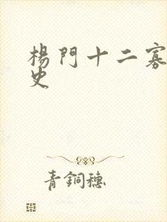 杨门十二寡妇艳史封面