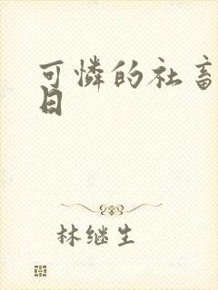 可怜的社畜东度日
