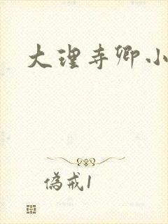 大理寺卿小说封面