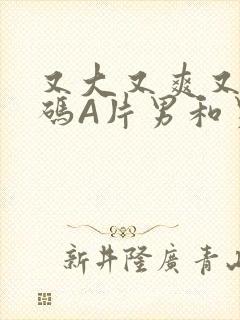 又大又爽又黄无码A片男和男