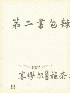 第二书包辣文