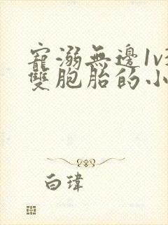 宠溺无边1v3双胞胎的小说