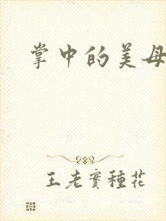 掌中的美母版主