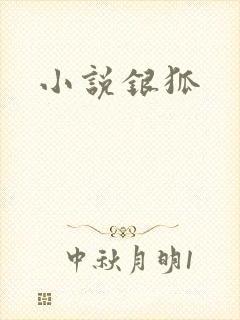 小说银狐