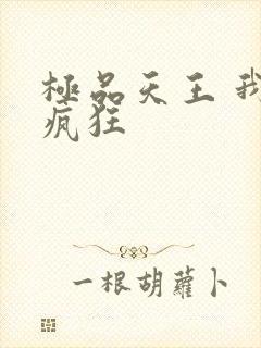 极品天王 我本疯狂