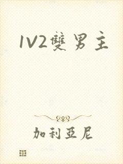 1V2双男主