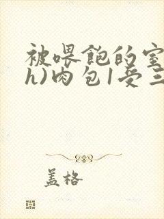 被喂饱的室友(h)肉包1受三攻