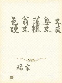 色翁荡息又大又硬又粗又爽