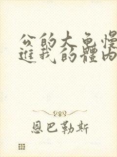 公的大龟慢慢挺进我的体内