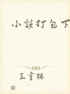 小说打包下载