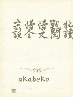 宋惜惜战北望小说全文阅读