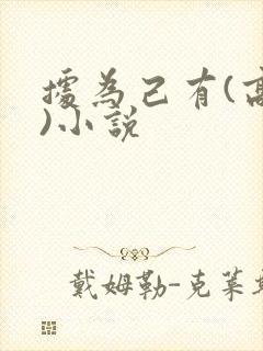 据为己有(高干)小说