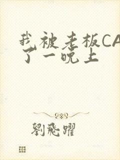 我被老板CAO了一晚上