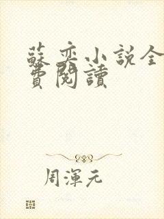 苏奕小说全文免费阅读