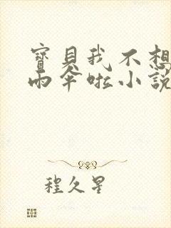 宝贝我不想带小雨伞啦小说封面