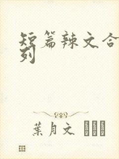 短篇辣文合集系列