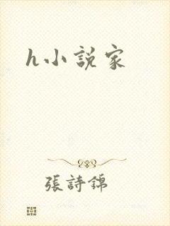 h小说家