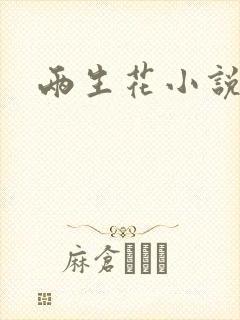 两生花小说
