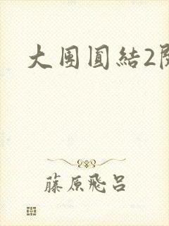 大团圆结2阅读