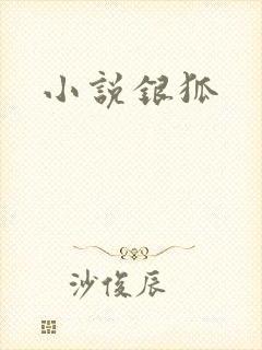 小说银狐
