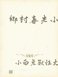 乡村春光小说