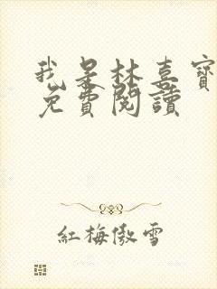 我是林喜宝小说免费阅读