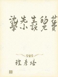 沈先生的花式教学小说免费