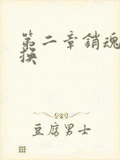 第二章销魂的交换