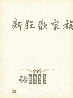 新狂欢家族小说