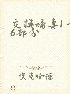 交换娇妻1一36部分