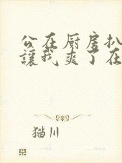 公在厨房扒开腿让我爽了在线观看