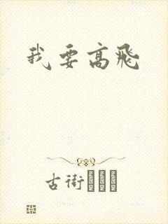 我要高飞封面