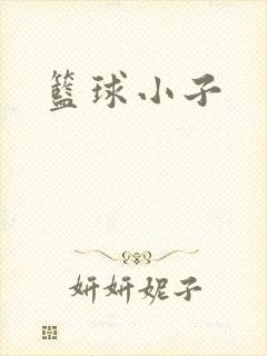 篮球小子