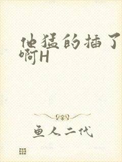 他猛的插了进去啊H