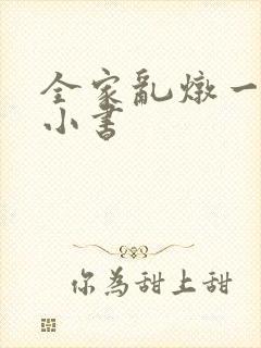 全家乱炖一锅烩小书