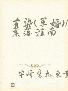 有染(军婚)/叶落淮南