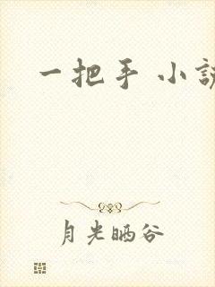 一把手 小说