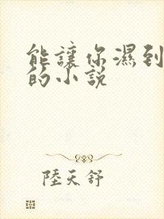 能让你湿到不行的小说