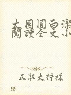大团圆白洁免费阅读全文小说
