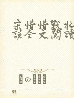 宋惜惜战北望小说全文阅读