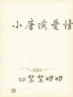 小唐璜爱情历史