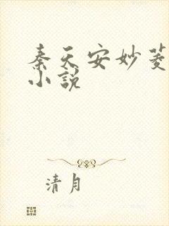 秦天安妙菱修仙小说